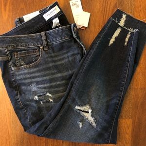 Lane Bryant Ripped Jegging (Petite)
